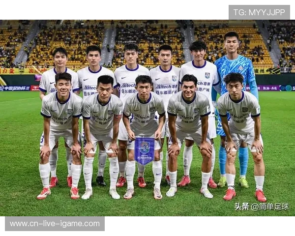 津门虎崛起之路：从天津足球的辉煌到重回巅峰的奋进历程