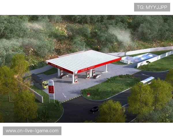 和平精英热议LNG技术争议背后的深层次影响与未来发展探讨